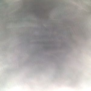 Meet your Posher, Reggie